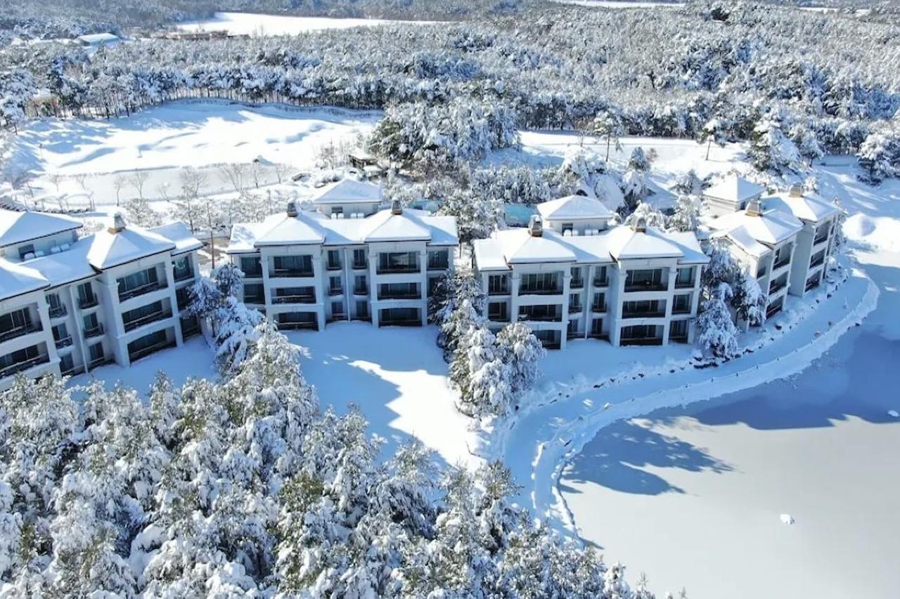 Pineridge Hotel Sokcho Exterior photo