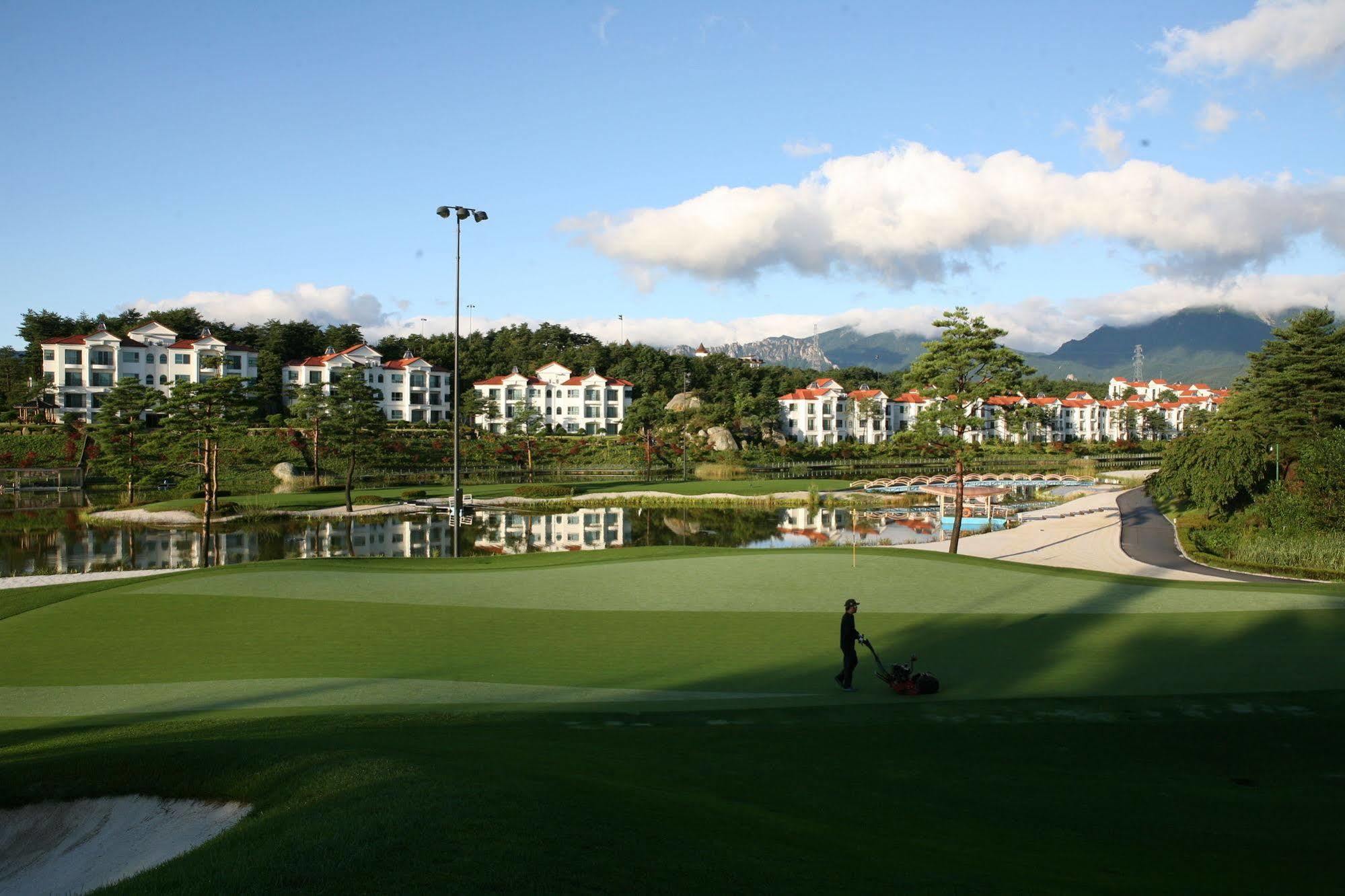 Pineridge Hotel Sokcho Exterior photo